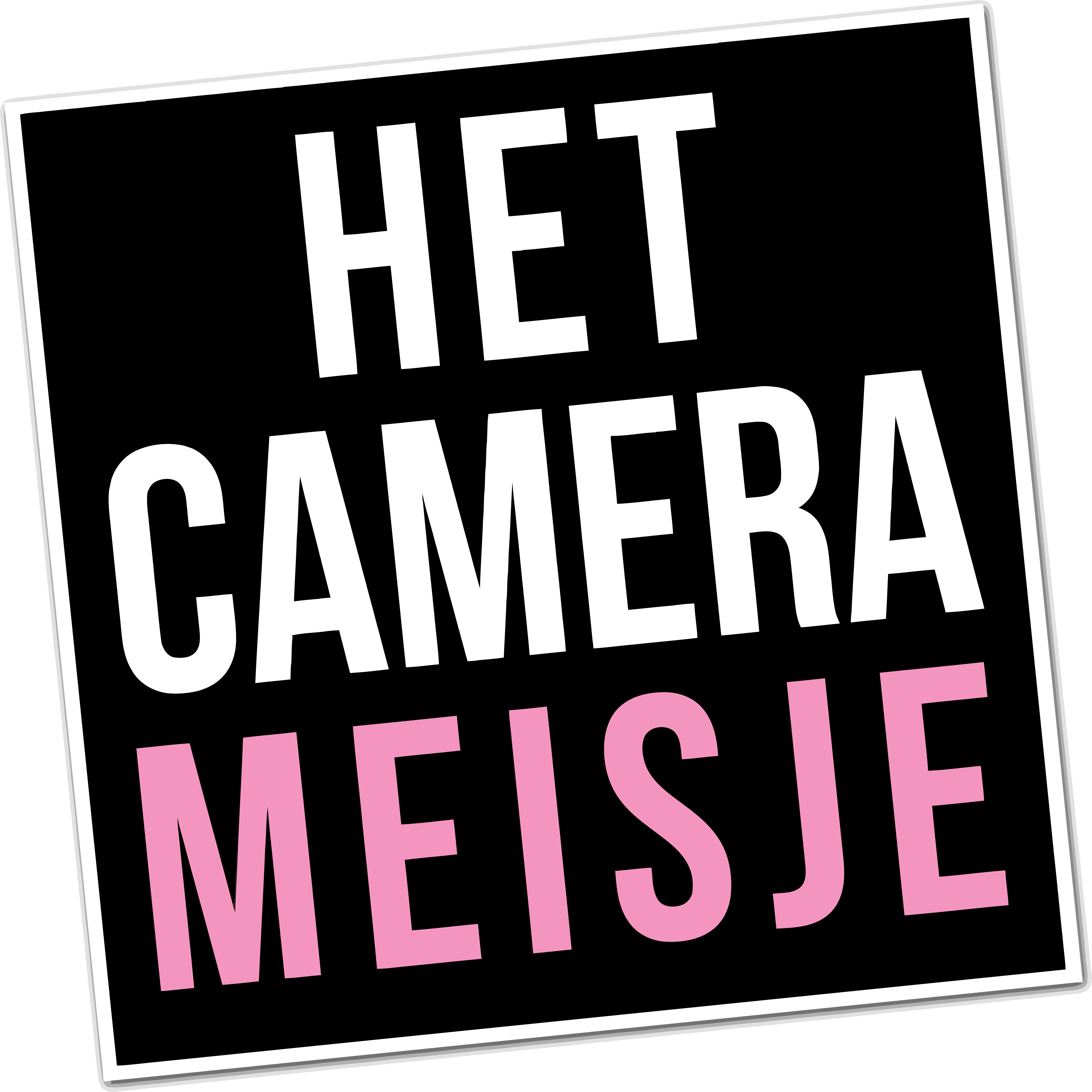 Het camerameisje - pixel party - fotomarketing - evenementen fotografie - bruiloften - bedrijfsfeesten - instant fotografie - hostessen - logo